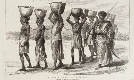 The black slave trade by the Arabs: a history of racism and brutality